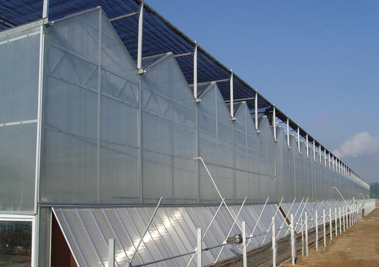 阳光板智能温室